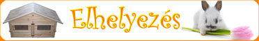 Nyuszik elhelyez&eacute;se