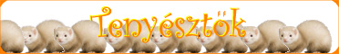 Vad&aacute;szg&ouml;r&eacute;nyek elhelyez&eacute;se